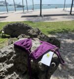 Purple Sun Dipped Bold bikini by Pear minimal Brazilian swimwear